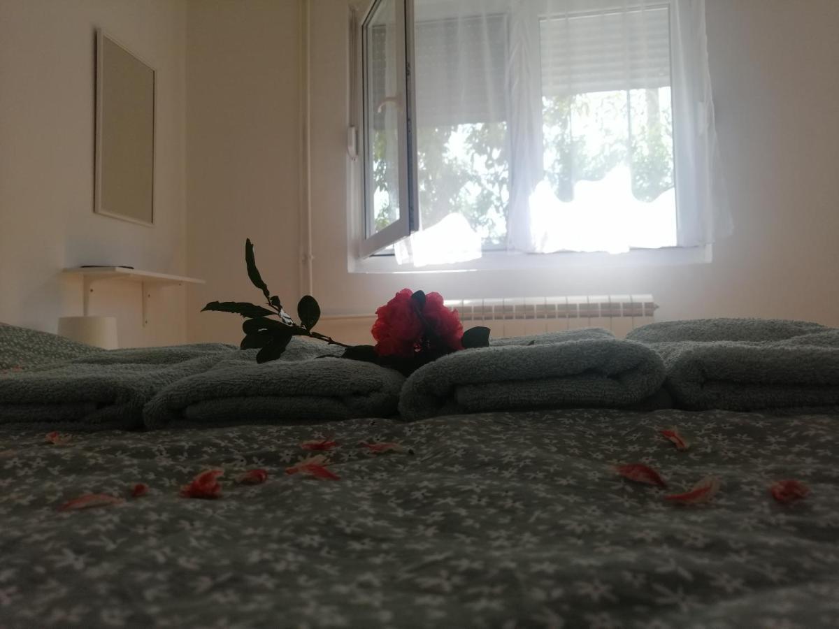 Apartman Nana Jagodina Exterior foto
